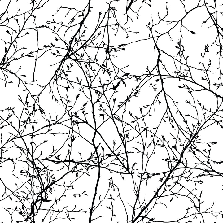 Black and White Tree Branch Wall Mural peel and stick removable wallpaper